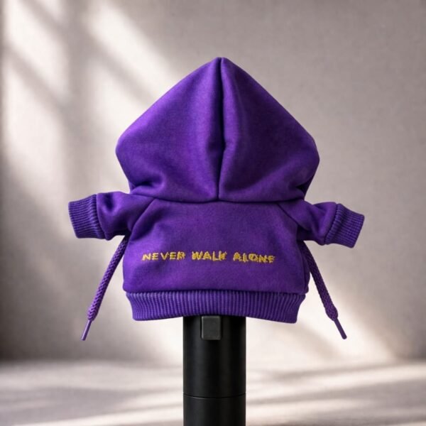 Habillage Lightstick "Seven With You"